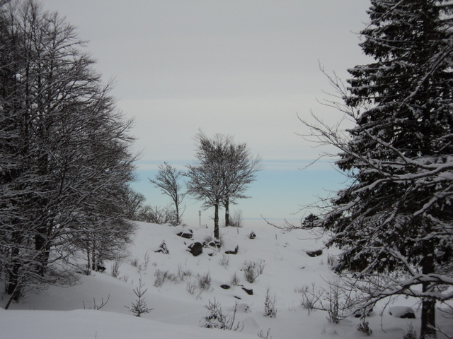 #5 le frankental : casse-croute le frankental : casse-croute