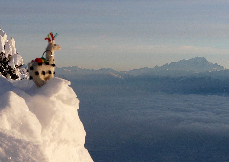 #23 enfin une bonne photo : On ne déroge pas à la règle... enfin une bonne photo : On ne déroge pas à la règle...
