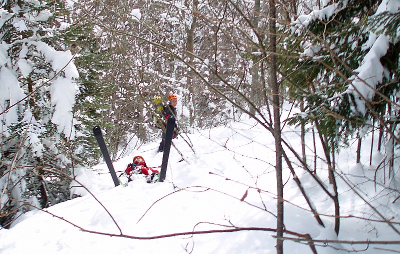 #19 Forêt : Y Forêt : Y'en a toujours un pour faire le con...