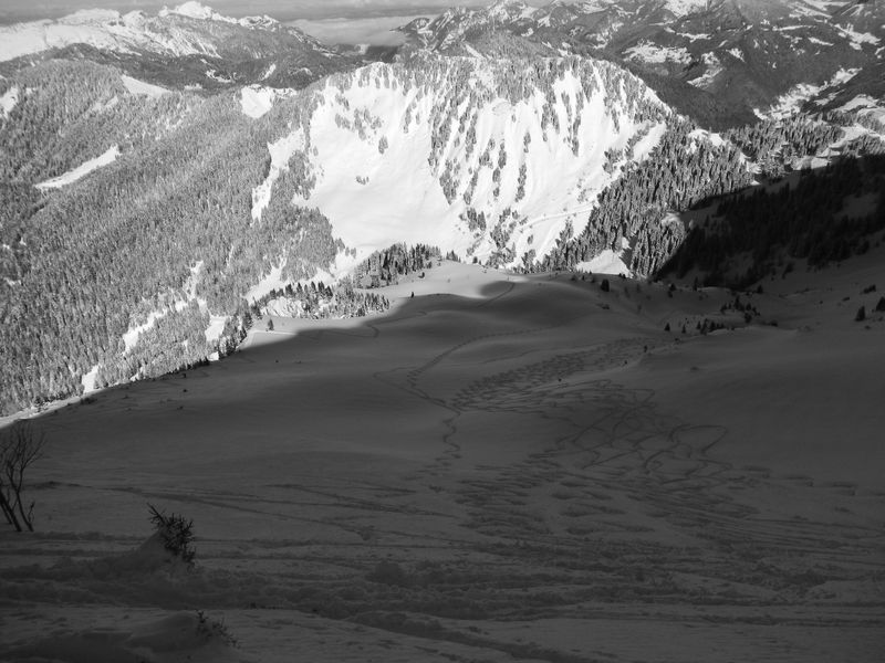 #7 La combe : encore dans l ombre pour le moment La combe : encore dans l ombre pour le moment