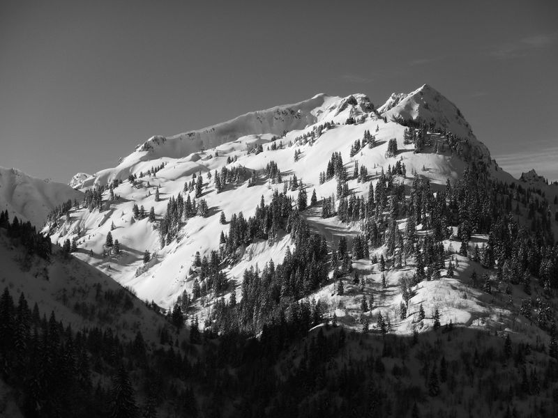 Panorama : Black and White