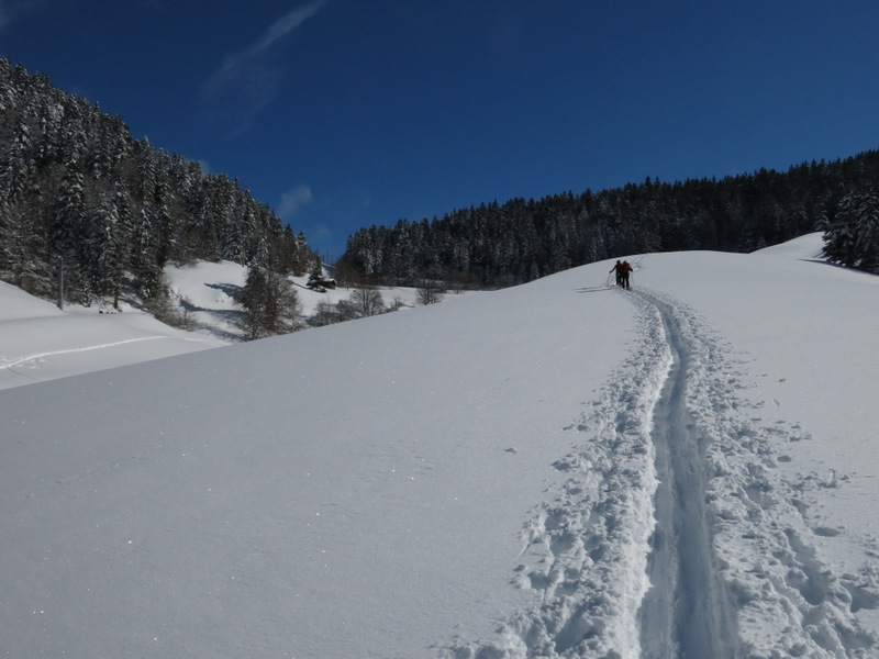 col du coq : La tranchée vers le habert du col du coq