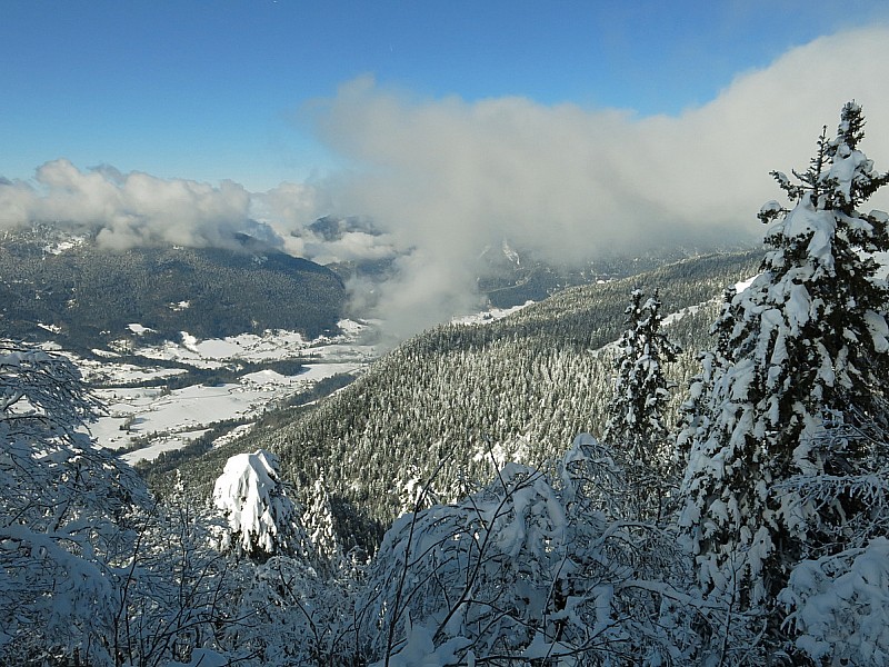 depuis le bec Charvet : Certains arbres disparaissent presque sous la neige