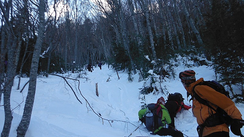 Partie boisée : Après le ski ,le bûcheronnage ......