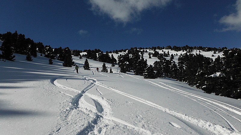 Poudre a gogo : La poudre nous attendait...