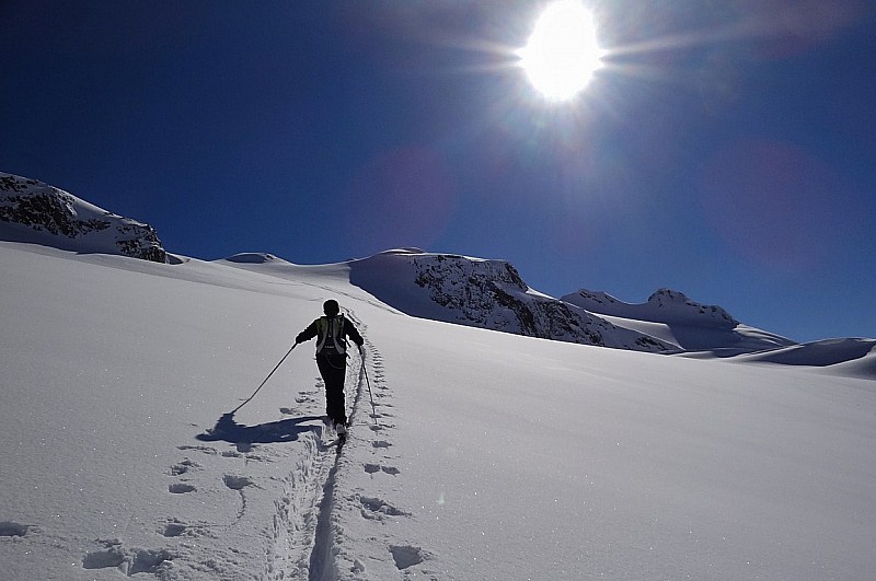 #2 Glacier du Grand : En haut du Glacier du Grand Glacier du Grand : En haut du Glacier du Grand