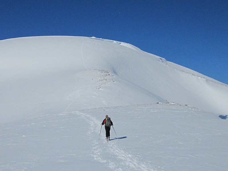 #9 But... : Nous nous sommes arrêtés à la fin de la partie "terrain", préférant ne pas suivre la trace de raquette sous le sommet. But... : Nous nous sommes arrêtés à la fin de la partie "terrain", préférant ne pas suivre la trace de raquette sous le sommet.