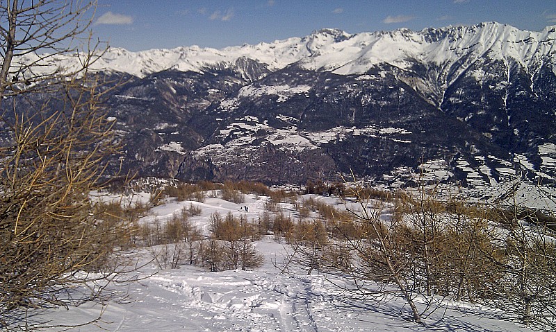 #2 Au sortir de la forêt : vers 2200m Au sortir de la forêt : vers 2200m