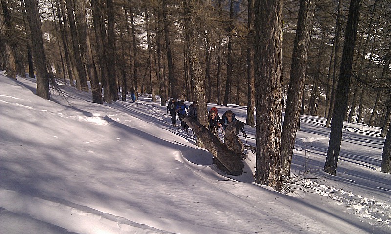 #1 Dans la foret : vers 1900m Dans la foret : vers 1900m