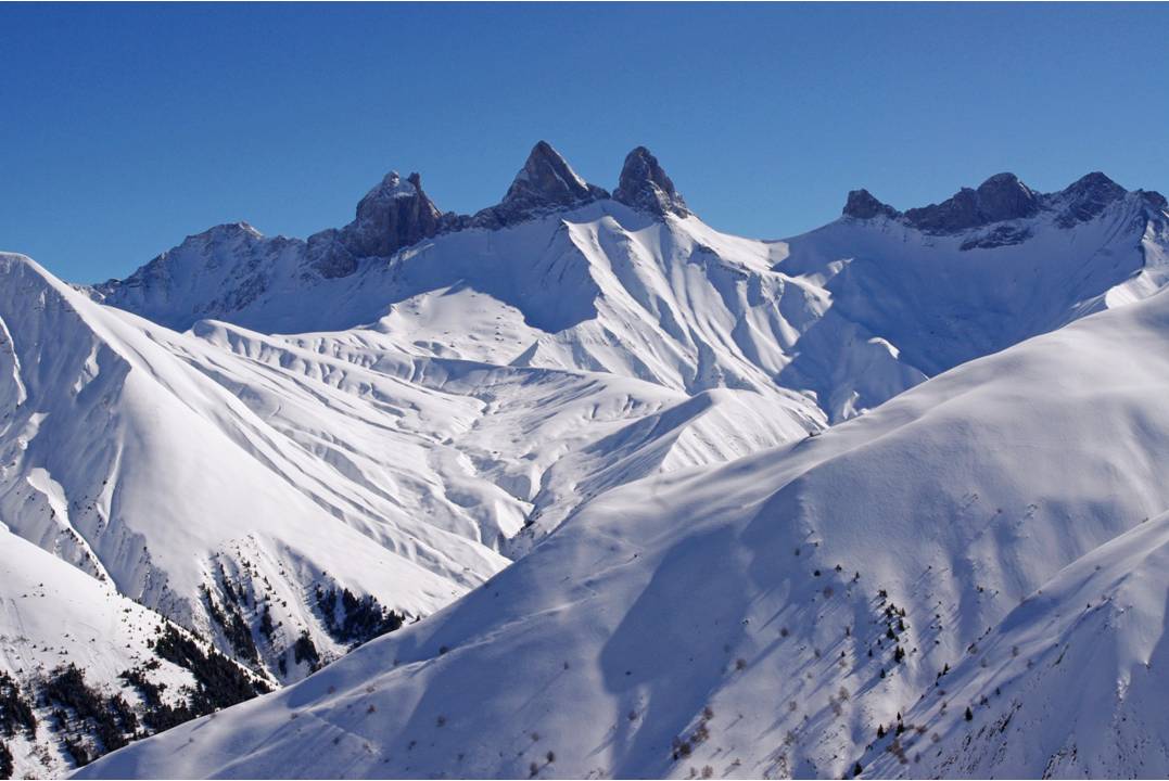 #7 Une journée en vis-à-vis avec les AAA Une journée en vis-à-vis avec les AAA