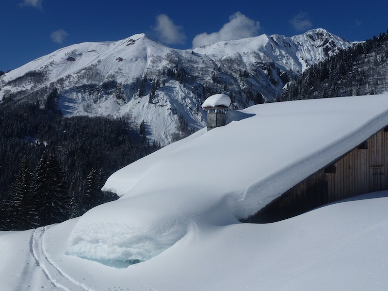 #7 bostan : Encore de la neige dans le coin bostan : Encore de la neige dans le coin