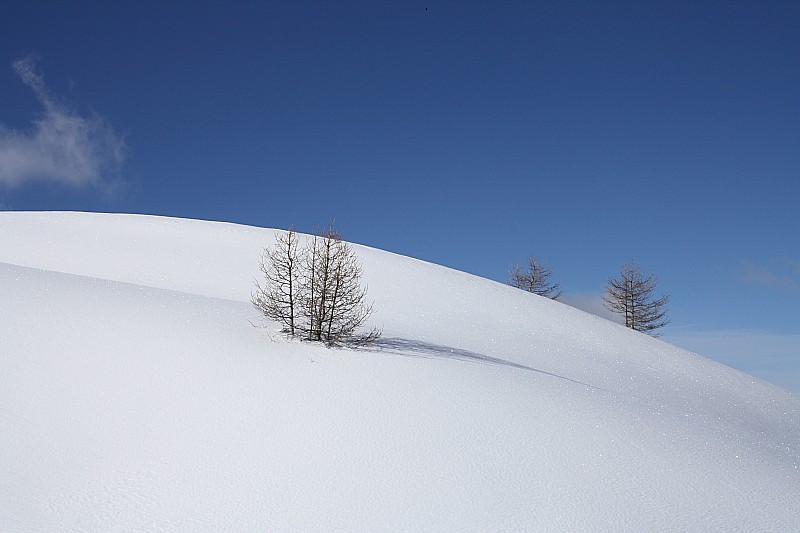 #4 Le sud, toujours : serein... Le sud, toujours : serein...