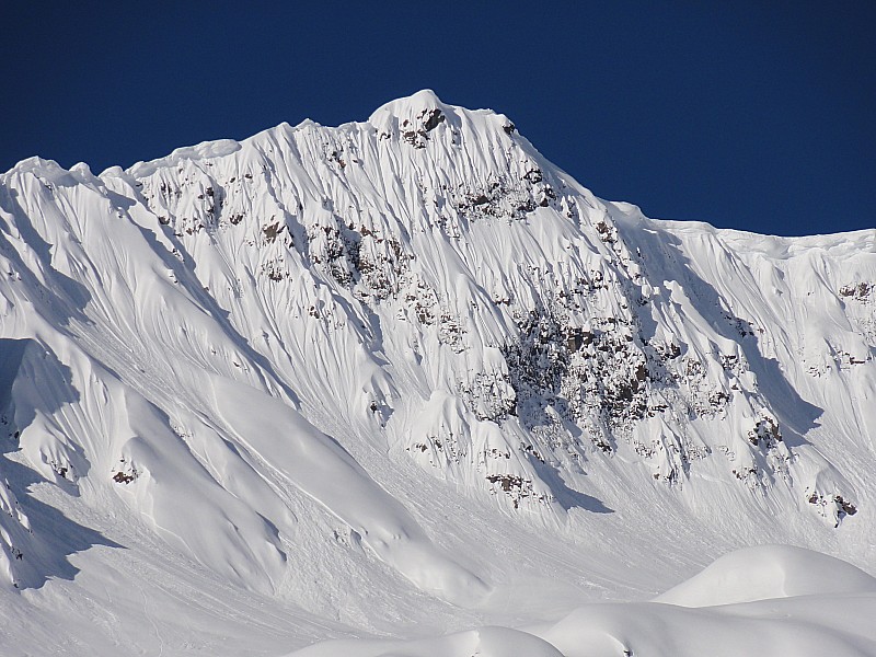 #1 Bel Oiseau, : jolies draperies Bel Oiseau, : jolies draperies