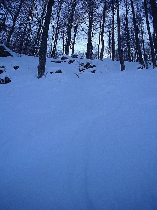 #2 La foret : Large avec de la pente et pleins de petits spots ludiques ! La foret : Large avec de la pente et pleins de petits spots ludiques !