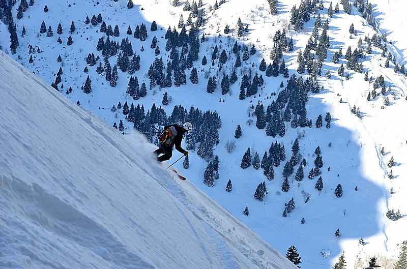 #5 Bonne neige en haut : Mon compagnon du jour descend Bonne neige en haut : Mon compagnon du jour descend