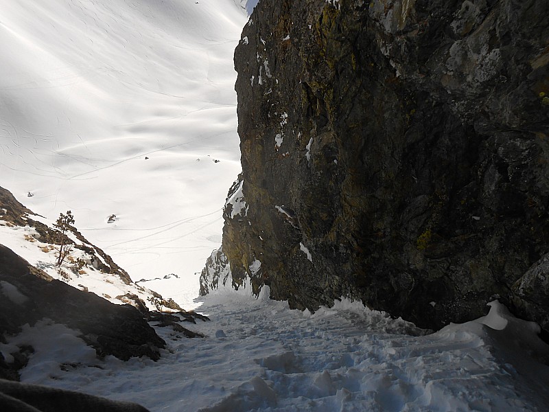 #1 couloir du pont de singe couloir du pont de singe