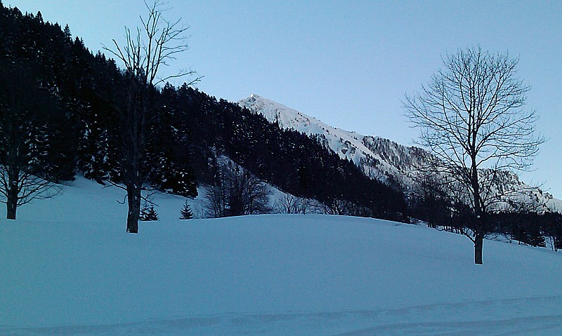 #1 Grand Parra : Objectif en vue Grand Parra : Objectif en vue