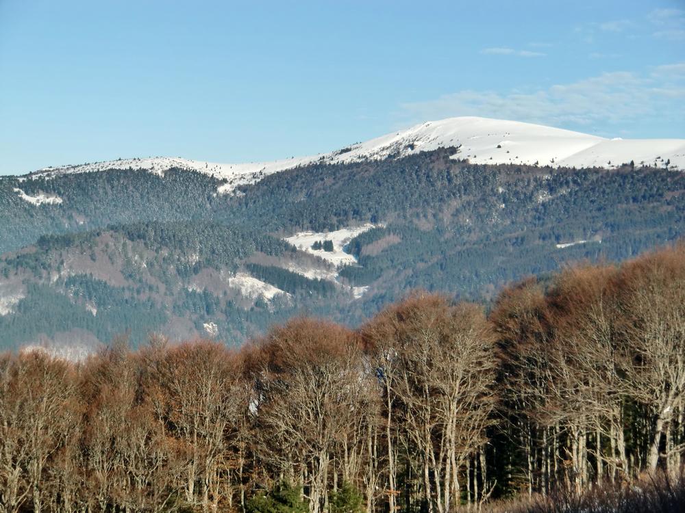 #1 Montagne de Monthiallier : Repérage de l Montagne de Monthiallier : Repérage de l'itinéraire en descendant des "Supeyres"
