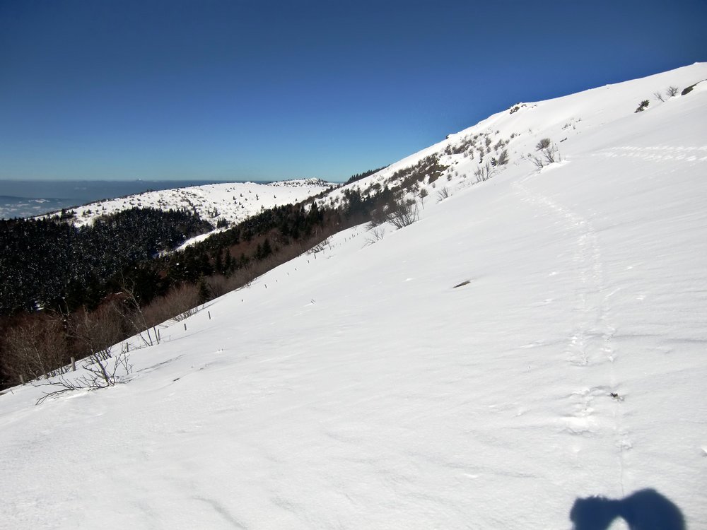 Monthiallier : Vu sur le sommet : Le versant le plus alpin.