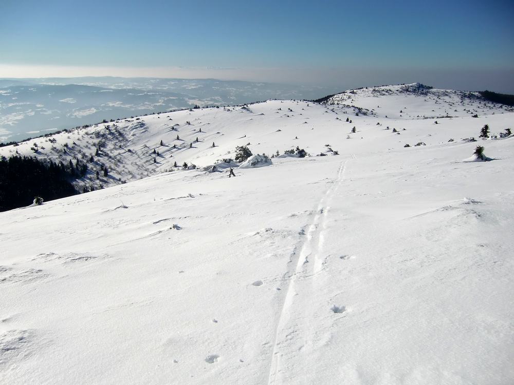 #13 Point de vue : Paradis blanc... Point de vue : Paradis blanc...