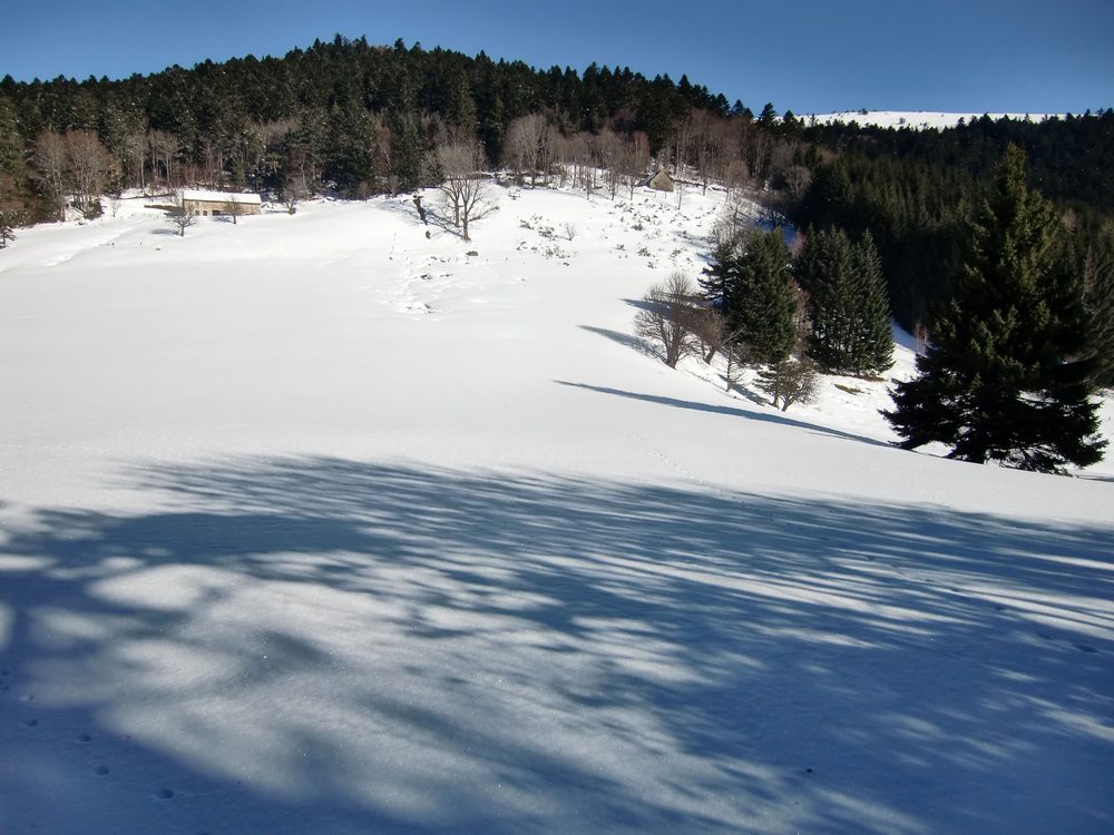 #4 Prairie de Meyrand : On aperçoit un bout de "cime". Prairie de Meyrand : On aperçoit un bout de "cime".