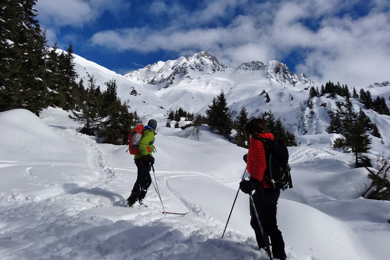 #29 Coup d Coup d'oeil dans le rétro : Sous le grand bec.