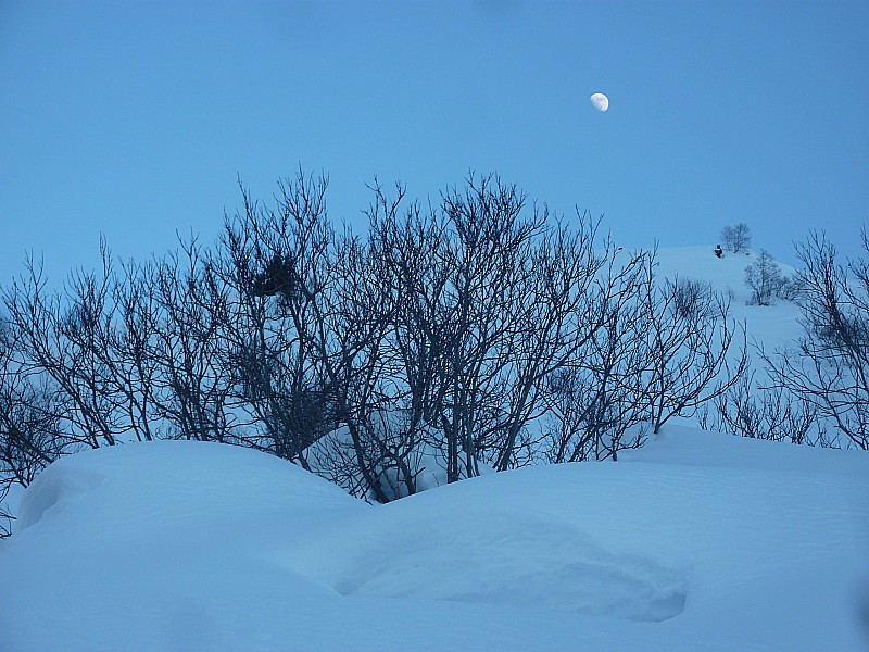 #26 La lune sort : Il est temps de rentrer La lune sort : Il est temps de rentrer