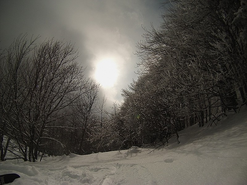 #3 Les 15 sec : de soleil Les 15 sec : de soleil