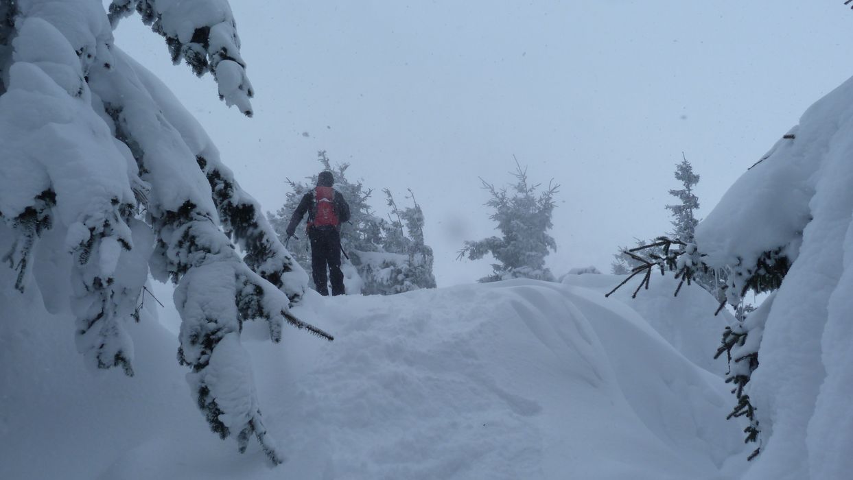 #6 Lisière de la Forêt de Chaulet : A partir d Lisière de la Forêt de Chaulet : A partir d'ici, le froid devient polaire.