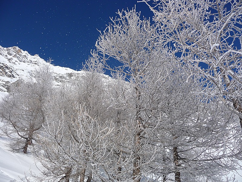 #1 Il neige Il neige