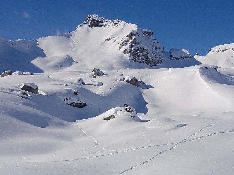 #1 Joli vallon Joli vallon