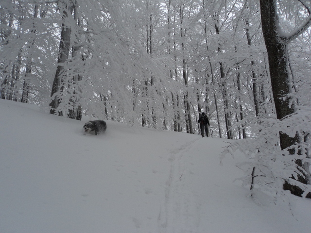 #3 magique ! : une poudre !!! magique ! : une poudre !!!