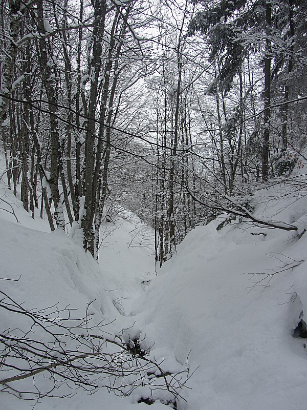 Morbié : Combe du griot.