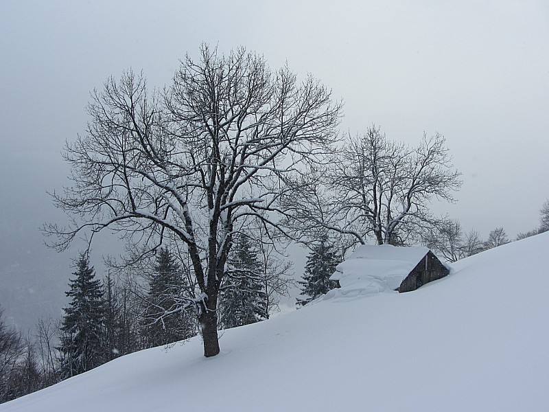 Morbié : Chalets de la Cha.