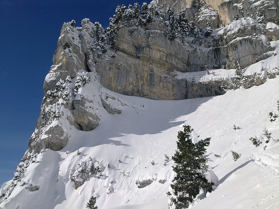 #2 Cirque Cirque