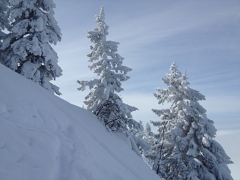 #3 Neige : Juste BEAU Neige : Juste BEAU