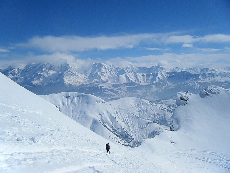 #5 l l'arête est proche : échancrure bien esthétique