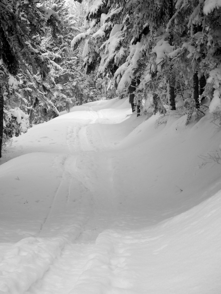 #1 montée : dans une bonne trace montée : dans une bonne trace