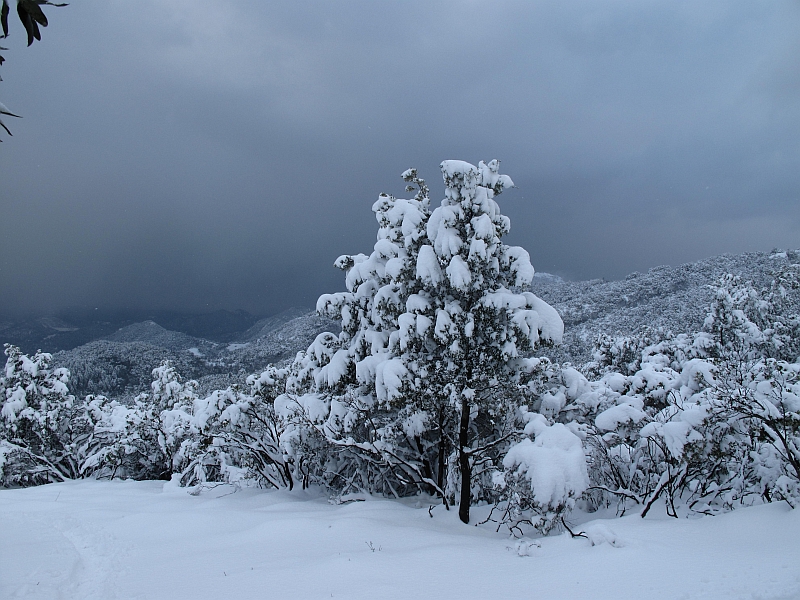 #2 Enneigement 800m... : enneigement plus qu Enneigement 800m... : enneigement plus qu'excellent à basse altitude...