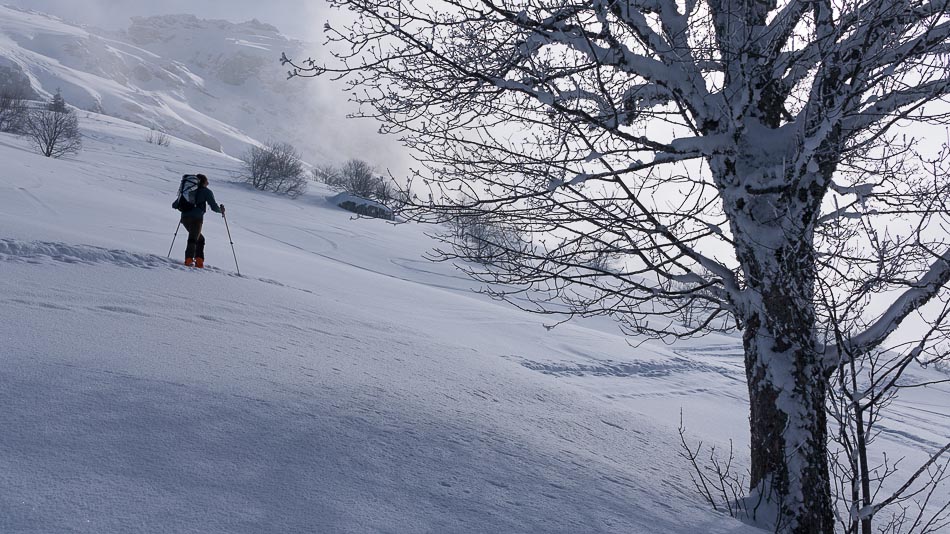 #2 Sous la Dent : bonne poudre de la nuit, la trace est quasi effacée Sous la Dent : bonne poudre de la nuit, la trace est quasi effacée