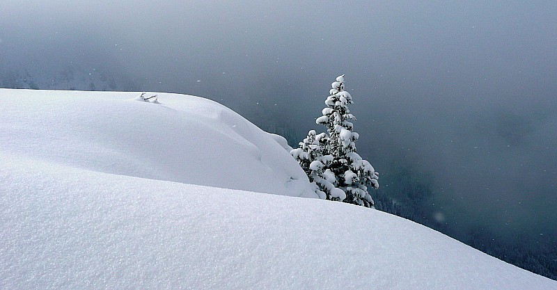 #3 Les derniers flocons : ... et le soleil qui pointe Les derniers flocons : ... et le soleil qui pointe