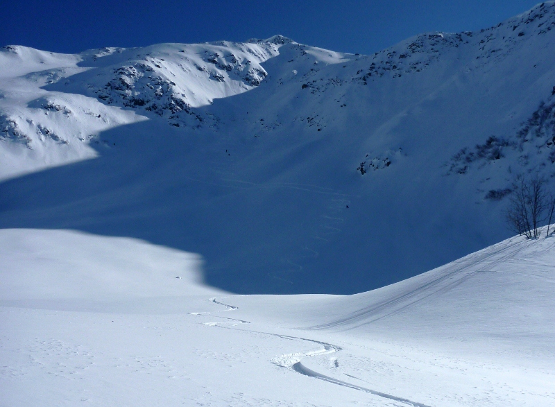 descente : ski a l'ombre