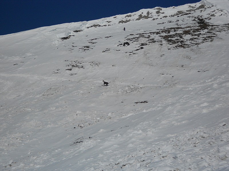 #2 Mt Colombier : c etait l heure du casse croute Mt Colombier : c etait l heure du casse croute