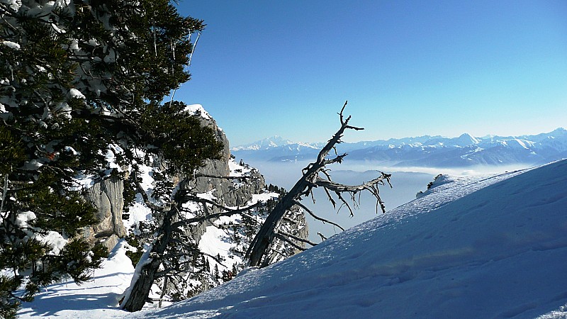 #11 Pause avant la descente W : Plein les yeux ... Pause avant la descente W : Plein les yeux ...