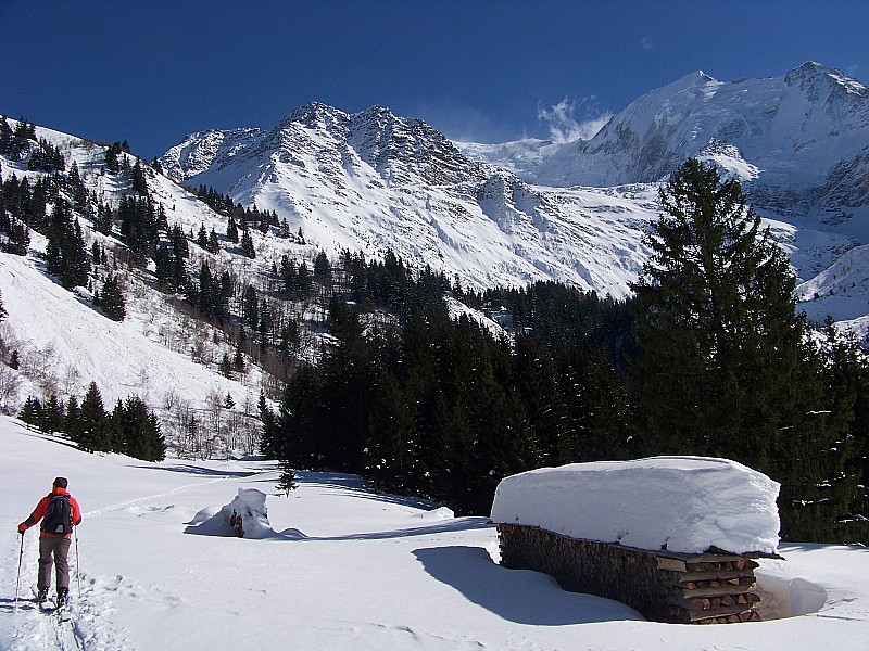 #1 montée vers l montée vers l'are : Alt. 1500m, autant de neige que de bois!