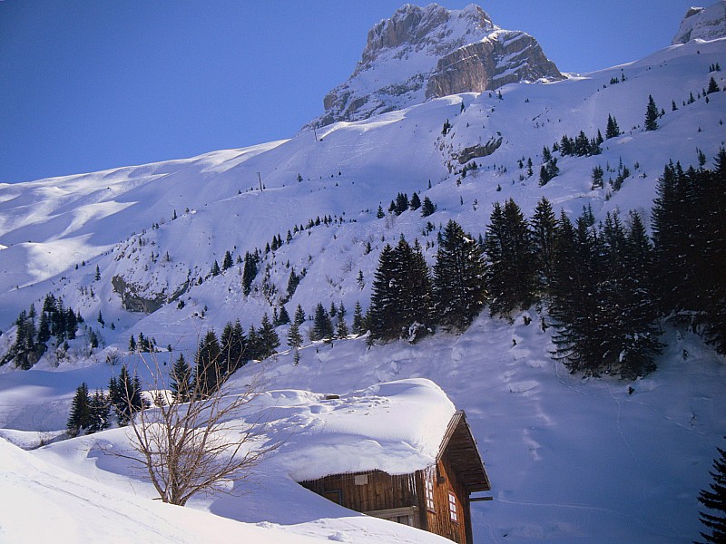 chalet du Plattuy : au sortir de la forêt, chalet du Plattuy