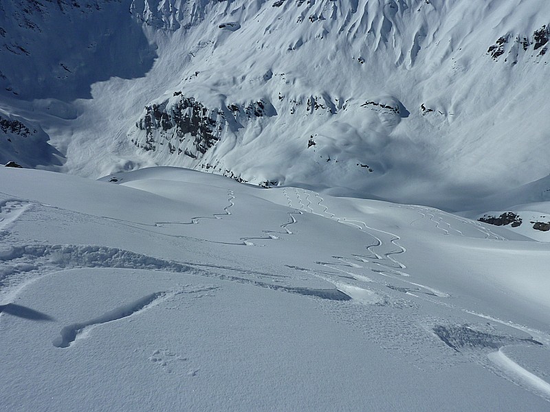 #3 Début de la descente : Poudreuse, vous avez dit poudreuse... Début de la descente : Poudreuse, vous avez dit poudreuse...