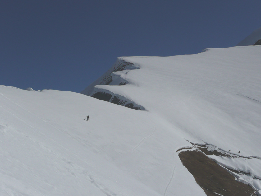 #6 Col d Col d'Armenaz : Yougs explore le couloir N (que M-V Souveton descendront ensuite) pendant que les chamois font couler la neige