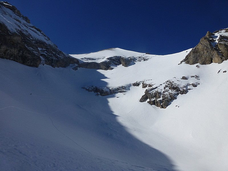 #7 Tête de Plate Longue Tête de Plate Longue