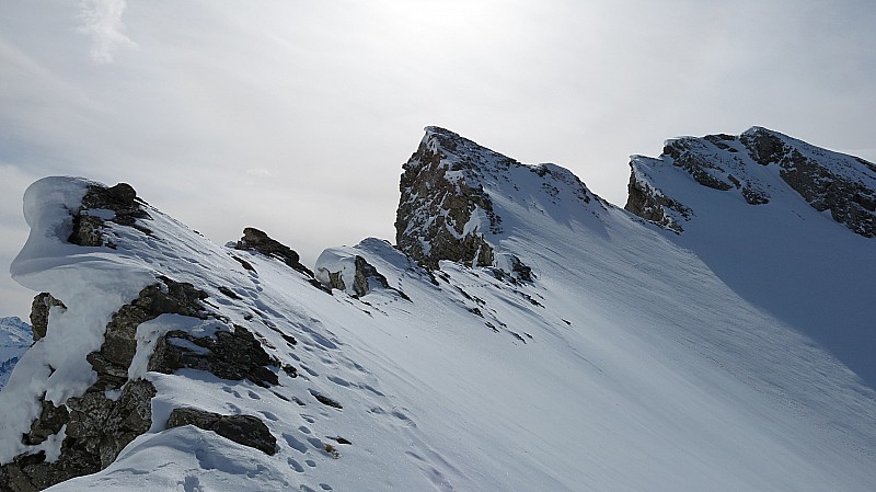 #6 Col S de Torchère : Les arrêtes vers la pointe des Verres Col S de Torchère : Les arrêtes vers la pointe des Verres